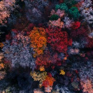 Autumn 4480x2520 wallpaper