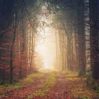 Autumn 4480x2520 wallpaper