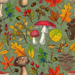 Mushroom autumn wallpaper