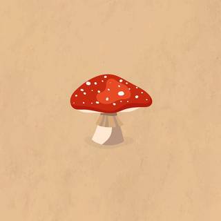 Mushroom autumn wallpaper