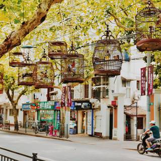 Autumn 4480x2520 wallpaper