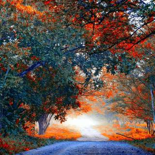 Beginning autumn wallpaper