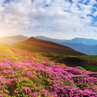 Nature landscape 4k wallpaper