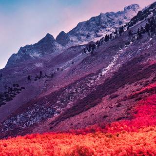 Scenery 4k mobile wallpaper