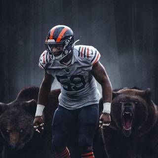 Chicago Bears 2023 wallpaper