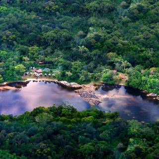 French Guiana wallpaper