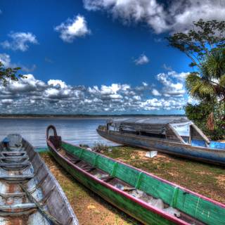 French Guiana wallpaper