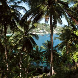 French Guiana wallpaper