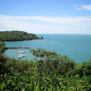 French Guiana wallpaper