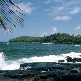 French Guiana wallpaper