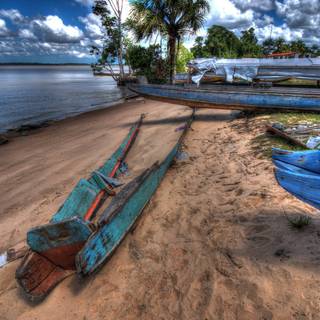 French Guiana wallpaper