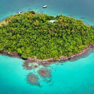 French Guiana wallpaper