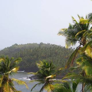 French Guiana wallpaper