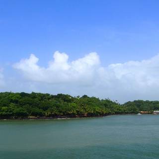 French Guiana wallpaper