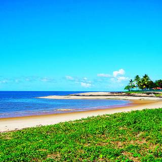 French Guiana wallpaper