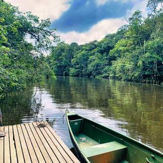 French Guiana wallpaper