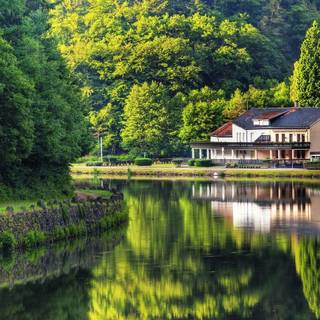 Forest cottage wallpaper