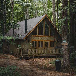 Forest cottage wallpaper