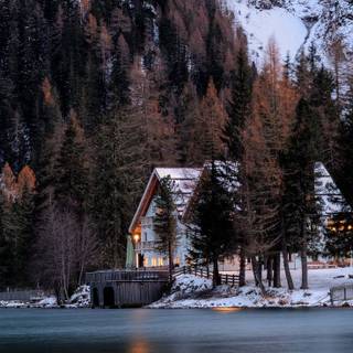 Forest cottage wallpaper