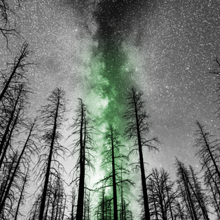 Demiromantic aesthetic wallpaper