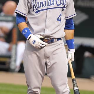 Alex Gordon wallpaper