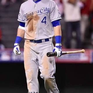 Alex Gordon wallpaper