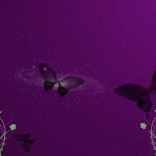 Purple and silver wallpaper