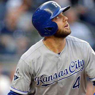 Alex Gordon wallpaper