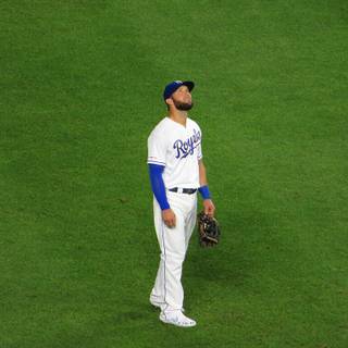 Alex Gordon wallpaper