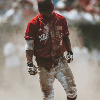 Alex Gordon wallpaper