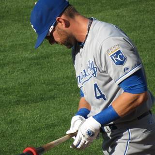 Alex Gordon wallpaper