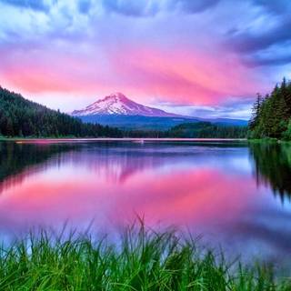 PC nature desktop wallpaper