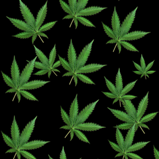 420 iPhone 11 wallpaper