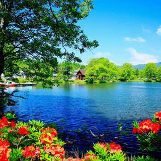 PC nature desktop wallpaper