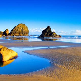 PC nature desktop wallpaper