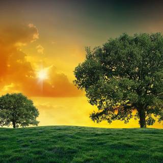 PC nature desktop wallpaper