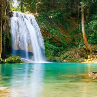 PC nature desktop wallpaper