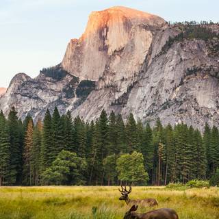 Yosemite National Park California wallpaper