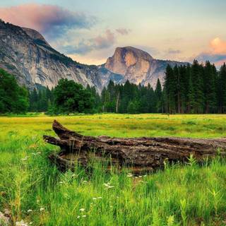 Yosemite National Park California wallpaper