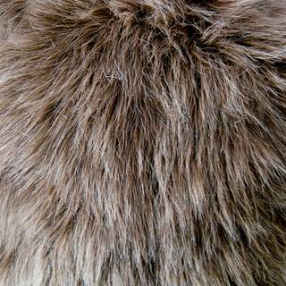 Faux fur wallpaper
