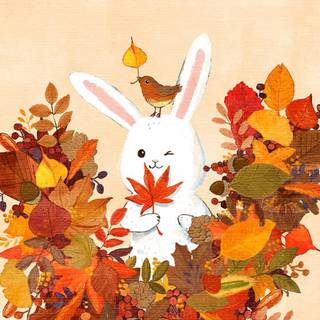 Rabbit autumn wallpaper