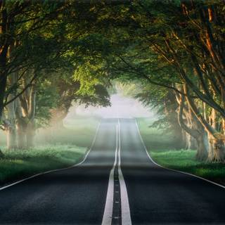 4k summer roads wallpaper