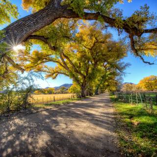 4k summer roads wallpaper