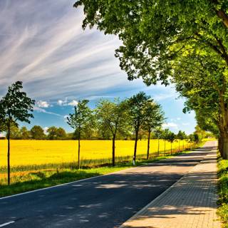 4k summer roads wallpaper