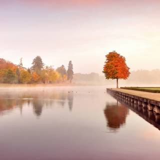 Autumn calm sunset wallpaper