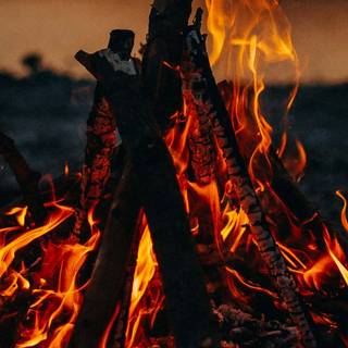 Autumn campfire wallpaper