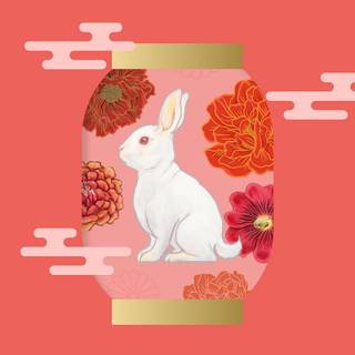 Rabbit autumn wallpaper