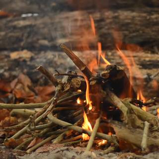 Autumn campfire wallpaper