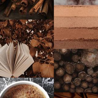 Autumn neutral iPhone wallpaper