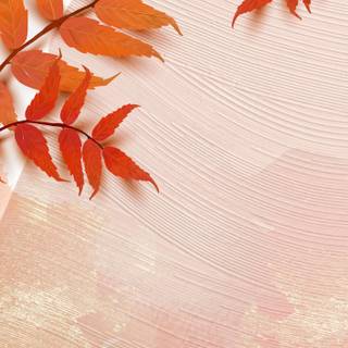 Autumn neutral iPhone wallpaper